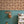 Cowrie Shells and Eyes Wallpaper in Butterscotch